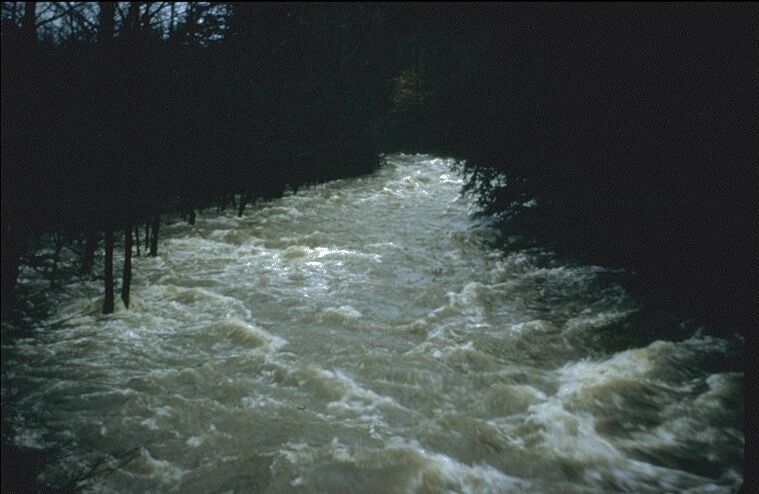 Flooded land along river