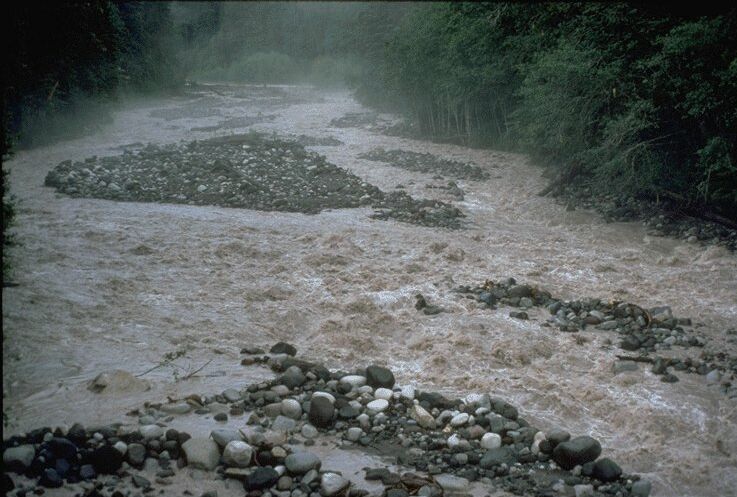 sediment rich river