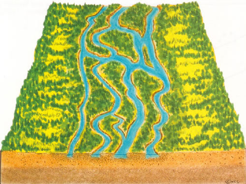 braided stream diagram