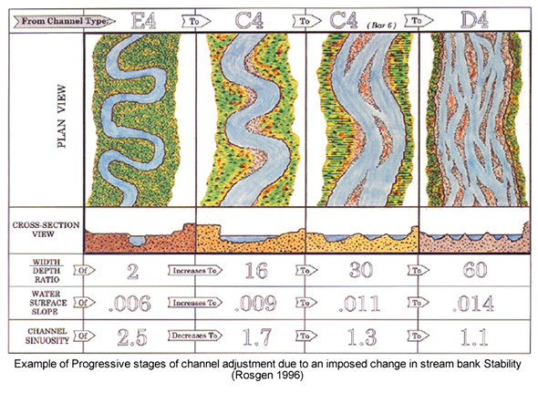 river evolution